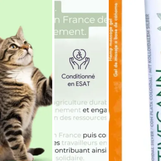 Top 5 : meilleurs gels CBD administration facile (mai 2026)