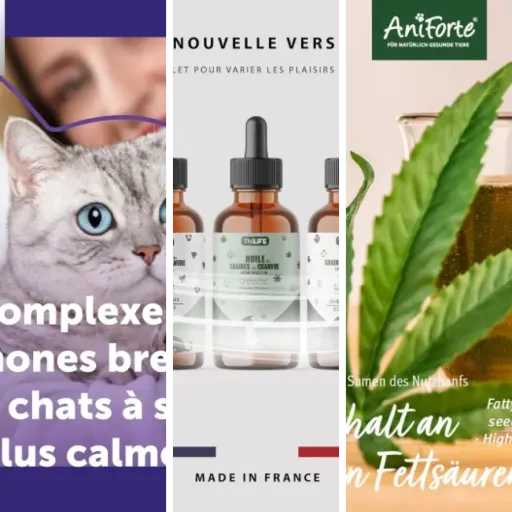 Top 6 : meilleurs cures CBD 30 jours (mai 2026)