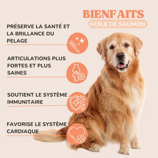 Huile de Saumon pour Chien pour Renforcer Le Système Immunitaire, Les Articulation Chien et Une Peau Saine, Huile de Saumon pour Chat Naturellement Enrichie en Oméga 3, 6, EPA et DHA 1000 ml