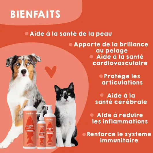 Huile de Saumon 100% Naturelle Norvégien Riche en Oméga 3 6 et 9 500ml Pressée à Froid Supplément Barf Antipelliculaire et Anti-Inflammatoire pour Chiens et Chats Maikai 500 ml