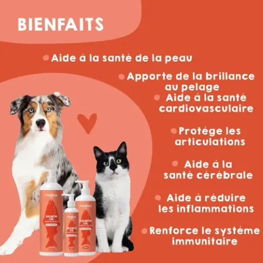 Test Huile de Saumon Maikai 500 ml : l’huile qui motive enfin mon chien à finir sa gamelle