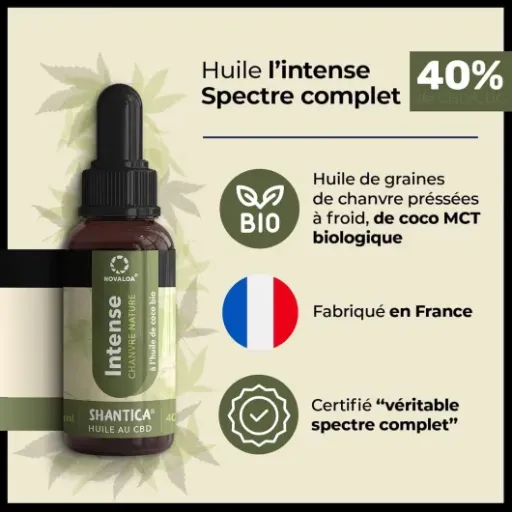 Test NOVALOA Huile L'Intense 4000 mg : une petite fiole, des effets plutôt corrects