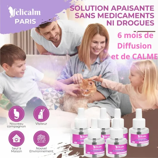 Paris -Nouvelle Formule de PHEROMONE pour Chat et Chaton -6 Recharges de 48 ML- Anti Stress pour Chat- CALMANT- Bonheur et Harmonie