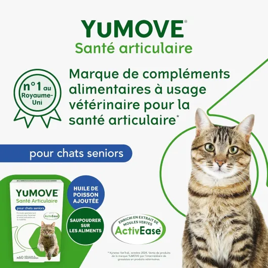 Articulation Chat 8 Ans et Plus – 60 Gélules à Saupoudrer – 100mg par Gélule Brevet en Instance ActivEase Moule Verte Chat - Glucosamine Chondroïtine & Huile de Poisson pour Chats Âgés 60 Gélules à Saupoudrer pour Chats Seniors