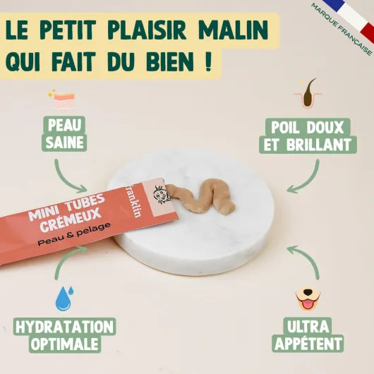Tube Crémeux Chat – Creamy Snack Thon et Saumon – Texture Crémeuse et Onctueuse – Ingrédients 100% Naturelles – Faible en Calories – Poils Doux et Brillant – 30 Tubes x 15g