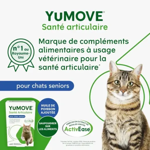 Test YuMOVE Articulation Chat 8 Ans et Plus : un coup de pouce sérieux pour les vieux chats rouillés