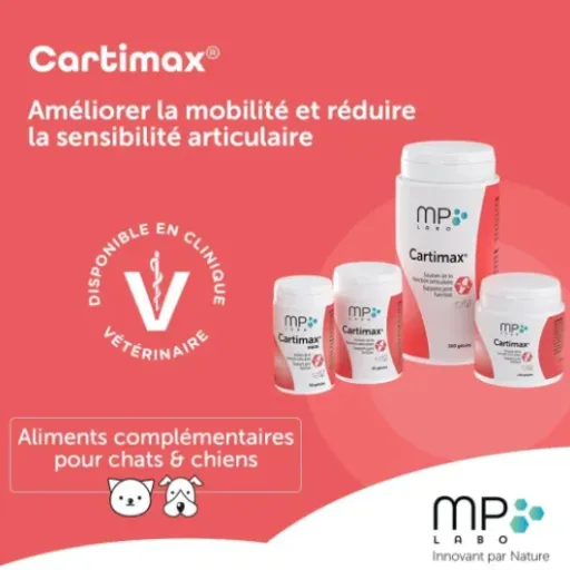 Test MP Labo Cartimax Mini 50 gélules : un complément articulaire sérieux pour chiens et chats, sans chichi