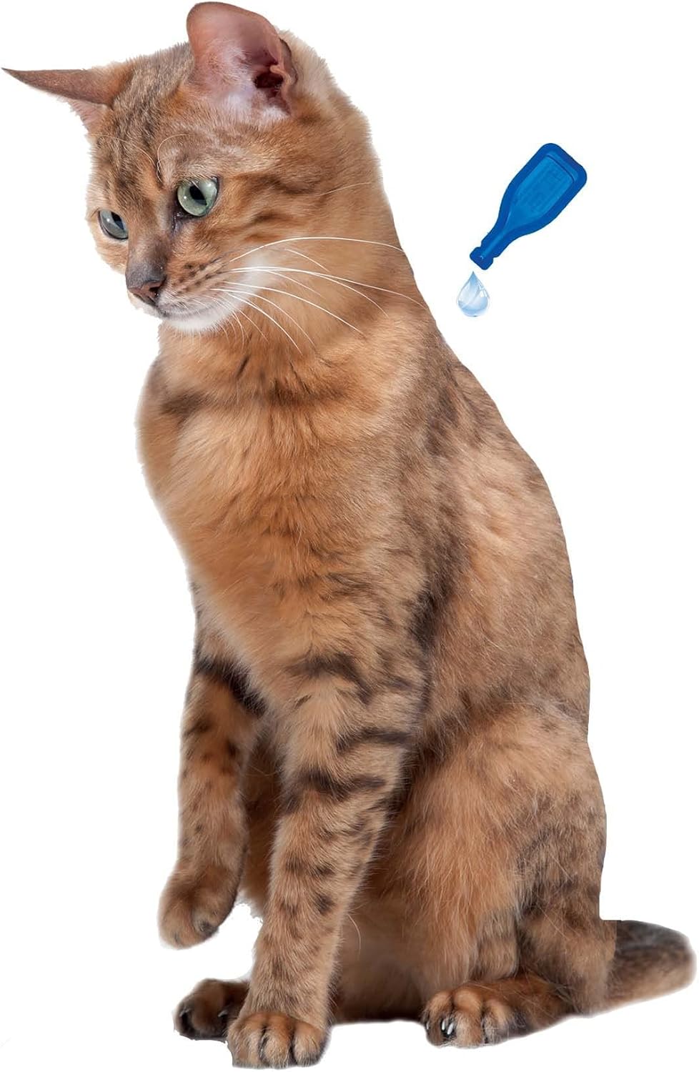 NO STRESS – Pipettes calmantes à la Valériane pour chat – Réduit le stress et les problèmes comportementaux sans dépendance ni somnolence – Prêt à l'emploi – 3 semaines d'action – 3 pipettes 3 unité (Lot de 2) Pipettes