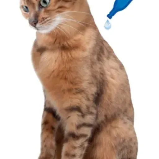 Test Beaphar No Stress Valériane : des pipettes qui peuvent aider, mais pas sur tous les chats