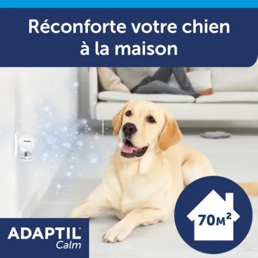 Test ADAPTIL Calm – Recharge 48 ml : ça calme vraiment le chien ou c’est du placebo ?